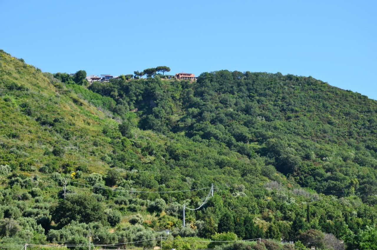 Ferienwohnung Penthouse Mare E Monti Tropea Exterior foto